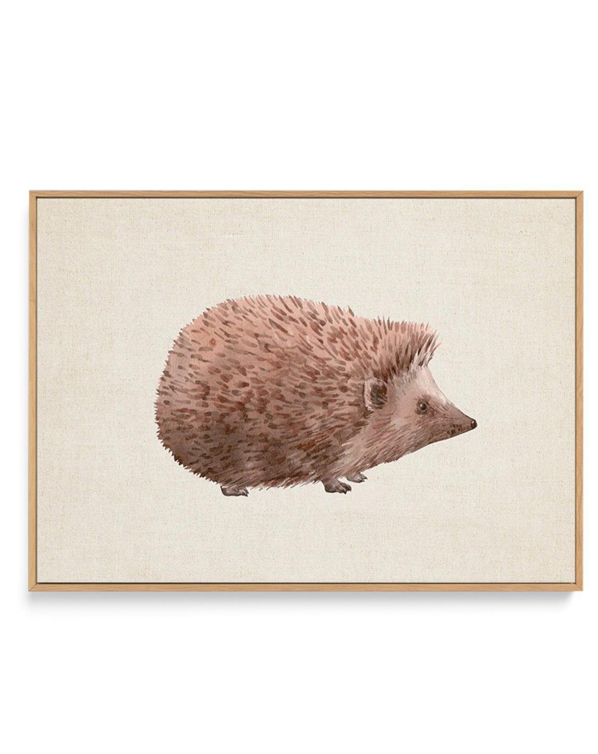 Hedgehog on Linen II | LS | Framed Canvas-CANVAS-You can shop wall art online with Olive et Oriel for everything from abstract art to fun kids wall art. Our beautiful modern art prints and canvas art are available from large canvas prints to wall art paintings and our proudly Australian artwork collection offers only the highest quality framed large wall art and canvas art Australia - You can buy fashion photography prints or Hampton print posters and paintings on canvas from Olive et Oriel and 