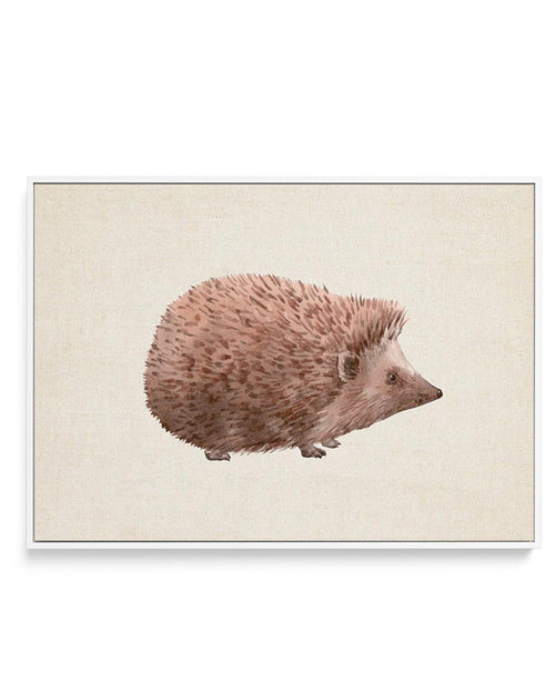 Hedgehog on Linen II | LS | Framed Canvas-CANVAS-You can shop wall art online with Olive et Oriel for everything from abstract art to fun kids wall art. Our beautiful modern art prints and canvas art are available from large canvas prints to wall art paintings and our proudly Australian artwork collection offers only the highest quality framed large wall art and canvas art Australia - You can buy fashion photography prints or Hampton print posters and paintings on canvas from Olive et Oriel and 