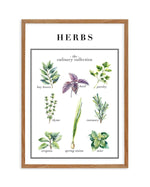 Herbs Art Print-PRINT-Olive et Oriel-Olive et Oriel-50x70 cm | 19.6" x 27.5"-Walnut-With White Border-Buy-Australian-Art-Prints-Online-with-Olive-et-Oriel-Your-Artwork-Specialists-Austrailia-Decorate-With-Coastal-Photo-Wall-Art-Prints-From-Our-Beach-House-Artwork-Collection-Fine-Poster-and-Framed-Artwork
