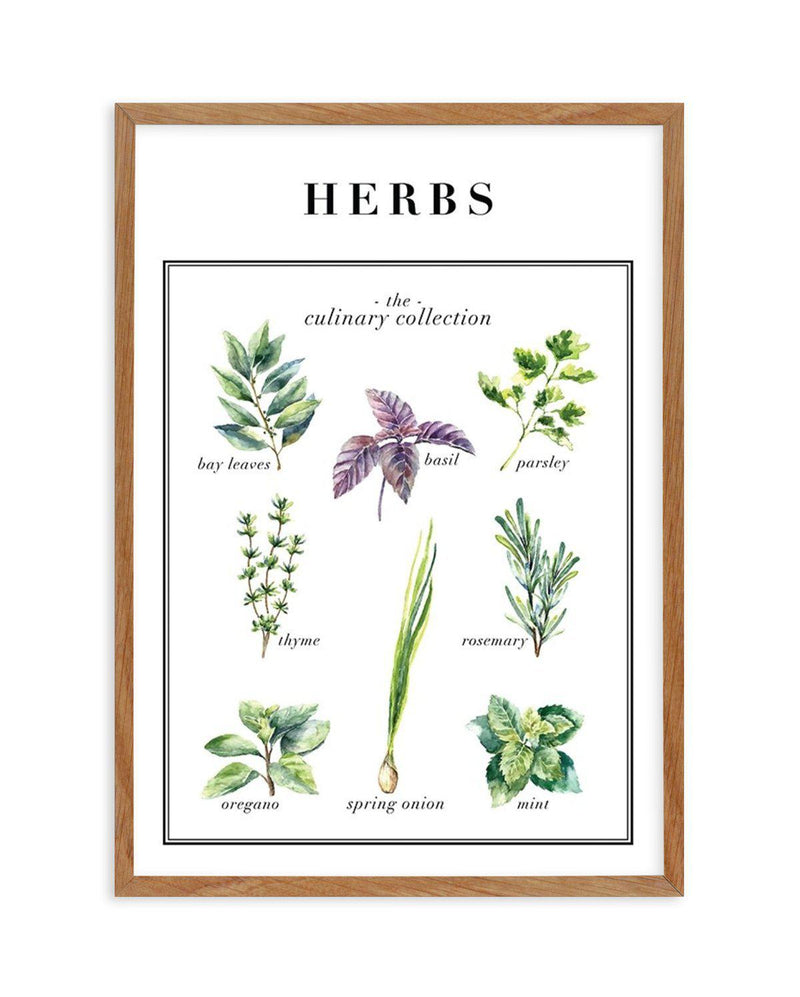 Herbs Art Print-PRINT-Olive et Oriel-Olive et Oriel-50x70 cm | 19.6" x 27.5"-Walnut-With White Border-Buy-Australian-Art-Prints-Online-with-Olive-et-Oriel-Your-Artwork-Specialists-Austrailia-Decorate-With-Coastal-Photo-Wall-Art-Prints-From-Our-Beach-House-Artwork-Collection-Fine-Poster-and-Framed-Artwork