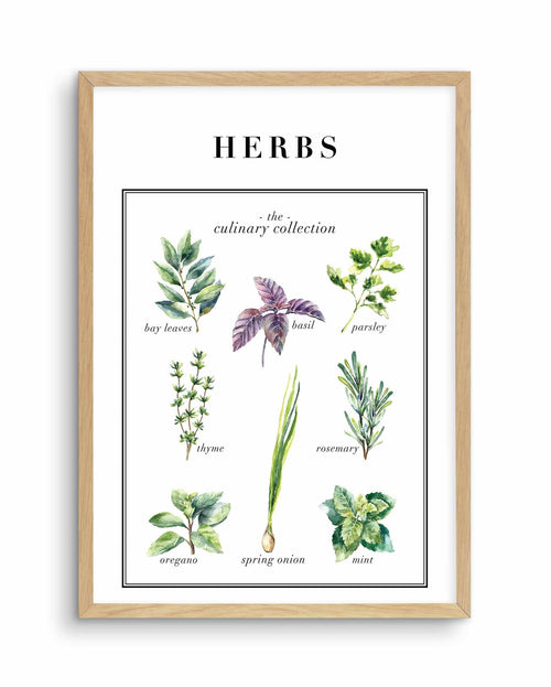 Herbs Art Print-PRINT-Olive et Oriel-Olive et Oriel-A5 | 5.8" x 8.3" | 14.8 x 21cm-Oak-With White Border-Buy-Australian-Art-Prints-Online-with-Olive-et-Oriel-Your-Artwork-Specialists-Austrailia-Decorate-With-Coastal-Photo-Wall-Art-Prints-From-Our-Beach-House-Artwork-Collection-Fine-Poster-and-Framed-Artwork
