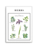 Herbs Art Print-PRINT-Olive et Oriel-Olive et Oriel-A5 | 5.8" x 8.3" | 14.8 x 21cm-Unframed Art Print-With White Border-Buy-Australian-Art-Prints-Online-with-Olive-et-Oriel-Your-Artwork-Specialists-Austrailia-Decorate-With-Coastal-Photo-Wall-Art-Prints-From-Our-Beach-House-Artwork-Collection-Fine-Poster-and-Framed-Artwork