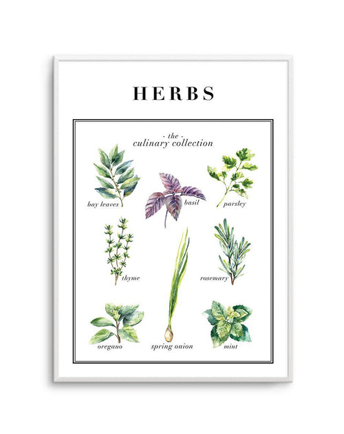 Herbs Art Print-PRINT-Olive et Oriel-Olive et Oriel-A5 | 5.8" x 8.3" | 14.8 x 21cm-Unframed Art Print-With White Border-Buy-Australian-Art-Prints-Online-with-Olive-et-Oriel-Your-Artwork-Specialists-Austrailia-Decorate-With-Coastal-Photo-Wall-Art-Prints-From-Our-Beach-House-Artwork-Collection-Fine-Poster-and-Framed-Artwork
