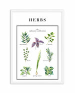 Herbs Art Print-PRINT-Olive et Oriel-Olive et Oriel-A5 | 5.8" x 8.3" | 14.8 x 21cm-White-With White Border-Buy-Australian-Art-Prints-Online-with-Olive-et-Oriel-Your-Artwork-Specialists-Austrailia-Decorate-With-Coastal-Photo-Wall-Art-Prints-From-Our-Beach-House-Artwork-Collection-Fine-Poster-and-Framed-Artwork