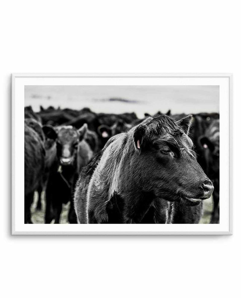 Herd | LS Art Print-PRINT-Olive et Oriel-Olive et Oriel-A4 | 8.3" x 11.7" | 21 x 29.7cm-Unframed Art Print-With White Border-Buy-Australian-Art-Prints-Online-with-Olive-et-Oriel-Your-Artwork-Specialists-Austrailia-Decorate-With-Coastal-Photo-Wall-Art-Prints-From-Our-Beach-House-Artwork-Collection-Fine-Poster-and-Framed-Artwork