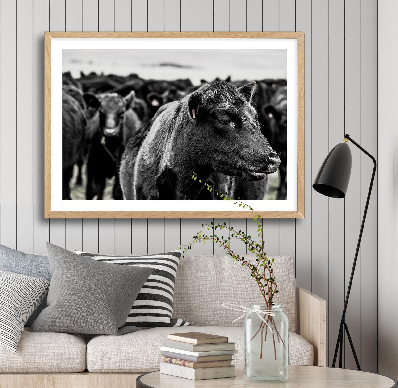 Herd | LS Art Print-PRINT-Olive et Oriel-Olive et Oriel-Buy-Australian-Art-Prints-Online-with-Olive-et-Oriel-Your-Artwork-Specialists-Austrailia-Decorate-With-Coastal-Photo-Wall-Art-Prints-From-Our-Beach-House-Artwork-Collection-Fine-Poster-and-Framed-Artwork