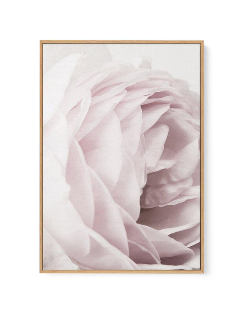 Heritage Rose | Framed Canvas-CANVAS-You can shop wall art online with Olive et Oriel for everything from abstract art to fun kids wall art. Our beautiful modern art prints and canvas art are available from large canvas prints to wall art paintings and our proudly Australian artwork collection offers only the highest quality framed large wall art and canvas art Australia - You can buy fashion photography prints or Hampton print posters and paintings on canvas from Olive et Oriel and have them de