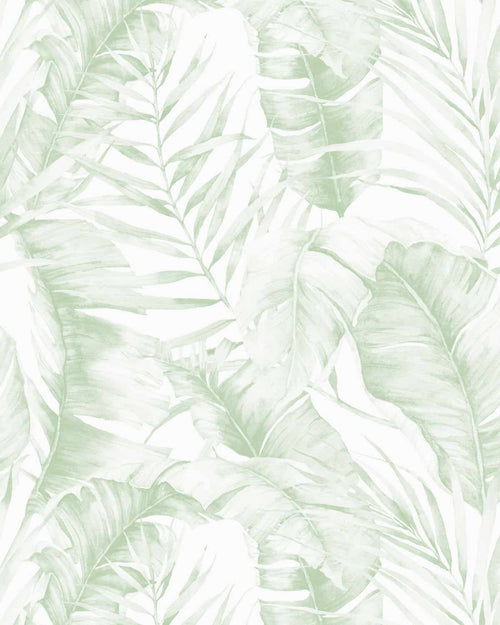 Island Luxe Palm Sage Green Wallpaper-Wallpaper-Buy Australian Removable Wallpaper Now Sage Green Wallpaper Peel And Stick Wallpaper Online At Olive et Oriel Custom Made Wallpapers Wall Papers Decorate Your Bedroom Living Room Kids Room or Commercial Interior