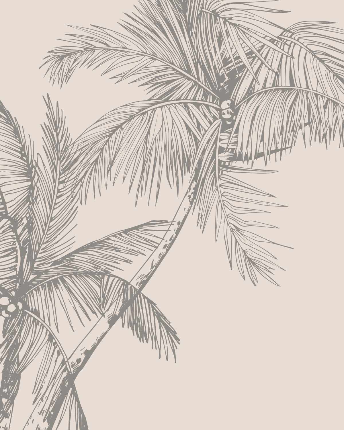 The Palms Wallpaper in Charcoal