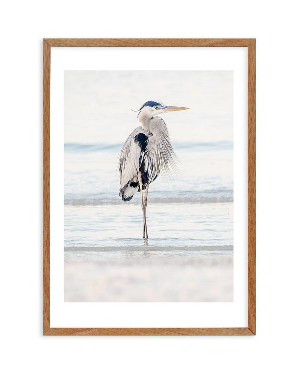 Heron No I Art Print-PRINT-Olive et Oriel-Olive et Oriel-50x70 cm | 19.6" x 27.5"-Walnut-With White Border-Buy-Australian-Art-Prints-Online-with-Olive-et-Oriel-Your-Artwork-Specialists-Austrailia-Decorate-With-Coastal-Photo-Wall-Art-Prints-From-Our-Beach-House-Artwork-Collection-Fine-Poster-and-Framed-Artwork