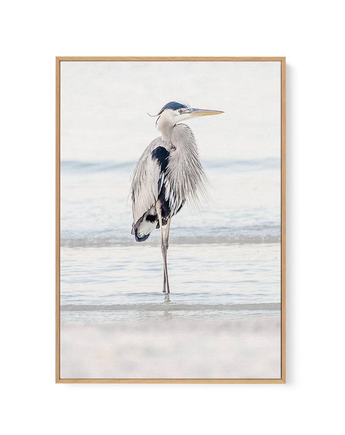 Heron No I | Framed Canvas-CANVAS-You can shop wall art online with Olive et Oriel for everything from abstract art to fun kids wall art. Our beautiful modern art prints and canvas art are available from large canvas prints to wall art paintings and our proudly Australian artwork collection offers only the highest quality framed large wall art and canvas art Australia - You can buy fashion photography prints or Hampton print posters and paintings on canvas from Olive et Oriel and have them deliv