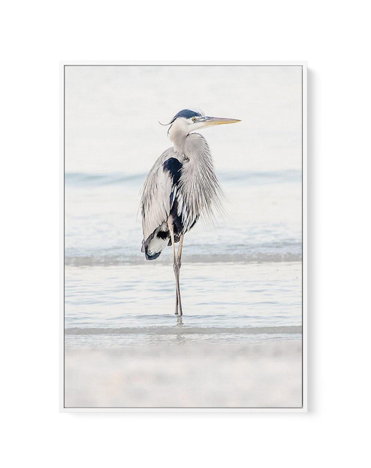 Heron No I | Framed Canvas-CANVAS-You can shop wall art online with Olive et Oriel for everything from abstract art to fun kids wall art. Our beautiful modern art prints and canvas art are available from large canvas prints to wall art paintings and our proudly Australian artwork collection offers only the highest quality framed large wall art and canvas art Australia - You can buy fashion photography prints or Hampton print posters and paintings on canvas from Olive et Oriel and have them deliv