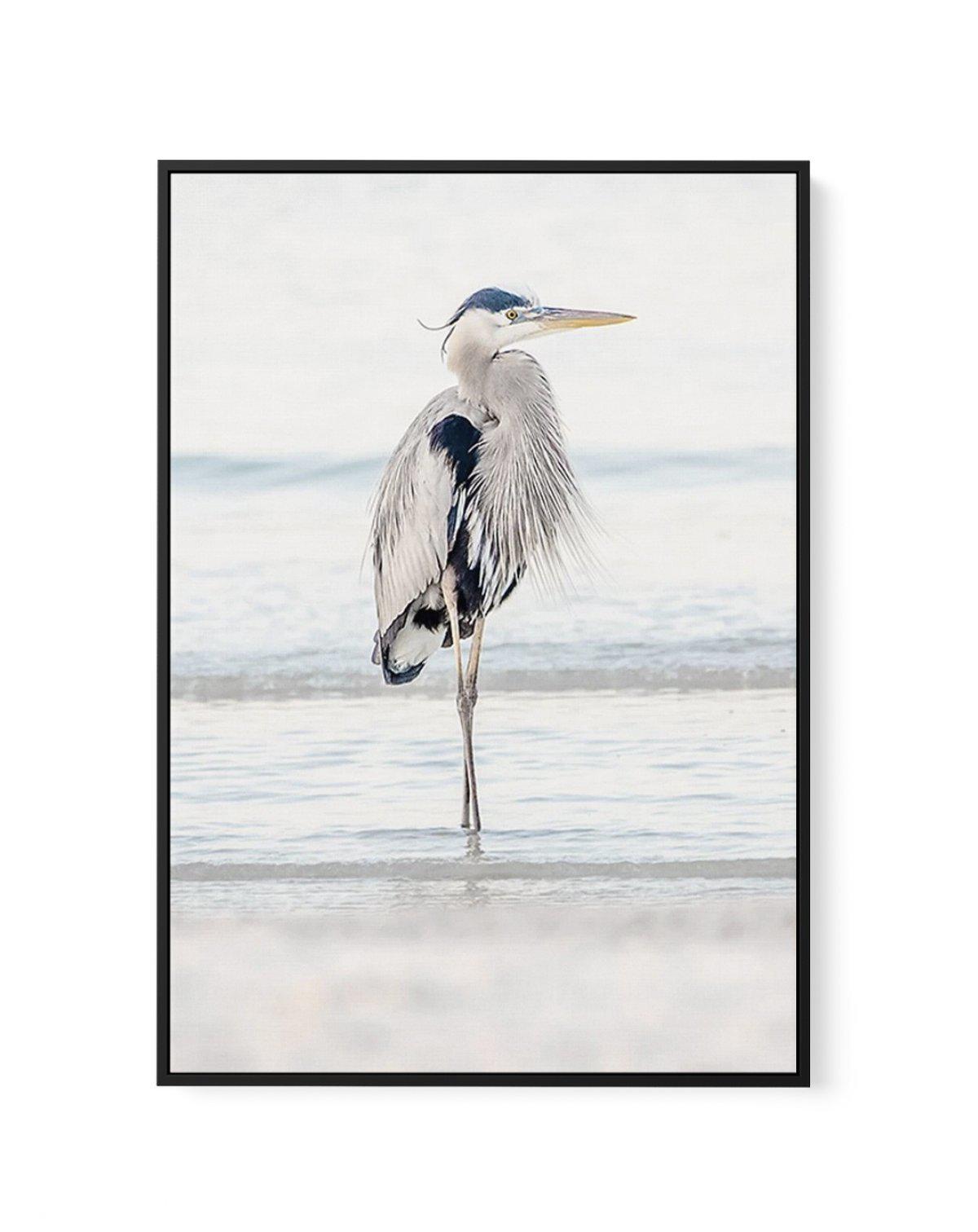 Heron No I | Framed Canvas-CANVAS-You can shop wall art online with Olive et Oriel for everything from abstract art to fun kids wall art. Our beautiful modern art prints and canvas art are available from large canvas prints to wall art paintings and our proudly Australian artwork collection offers only the highest quality framed large wall art and canvas art Australia - You can buy fashion photography prints or Hampton print posters and paintings on canvas from Olive et Oriel and have them deliv