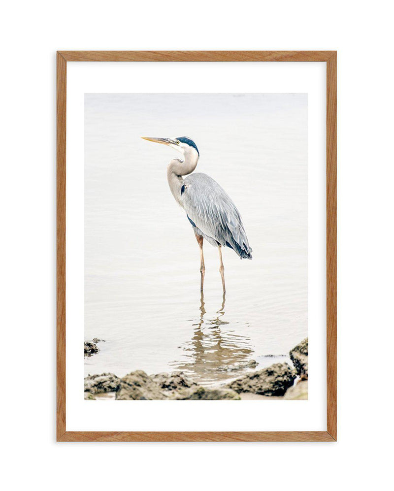Heron No II Art Print-PRINT-Olive et Oriel-Olive et Oriel-50x70 cm | 19.6" x 27.5"-Walnut-With White Border-Buy-Australian-Art-Prints-Online-with-Olive-et-Oriel-Your-Artwork-Specialists-Austrailia-Decorate-With-Coastal-Photo-Wall-Art-Prints-From-Our-Beach-House-Artwork-Collection-Fine-Poster-and-Framed-Artwork