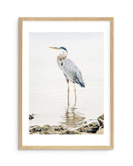Heron No II Art Print-PRINT-Olive et Oriel-Olive et Oriel-A5 | 5.8" x 8.3" | 14.8 x 21cm-Oak-With White Border-Buy-Australian-Art-Prints-Online-with-Olive-et-Oriel-Your-Artwork-Specialists-Austrailia-Decorate-With-Coastal-Photo-Wall-Art-Prints-From-Our-Beach-House-Artwork-Collection-Fine-Poster-and-Framed-Artwork