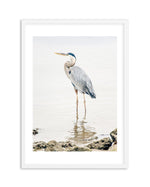 Heron No II Art Print-PRINT-Olive et Oriel-Olive et Oriel-A5 | 5.8" x 8.3" | 14.8 x 21cm-White-With White Border-Buy-Australian-Art-Prints-Online-with-Olive-et-Oriel-Your-Artwork-Specialists-Austrailia-Decorate-With-Coastal-Photo-Wall-Art-Prints-From-Our-Beach-House-Artwork-Collection-Fine-Poster-and-Framed-Artwork
