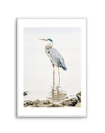 Heron No II Art Print-PRINT-Olive et Oriel-Olive et Oriel-A5 | 5.8" x 8.3" | 14.8 x 21cm-Unframed Art Print-With White Border-Buy-Australian-Art-Prints-Online-with-Olive-et-Oriel-Your-Artwork-Specialists-Austrailia-Decorate-With-Coastal-Photo-Wall-Art-Prints-From-Our-Beach-House-Artwork-Collection-Fine-Poster-and-Framed-Artwork