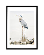 Heron No II Art Print-PRINT-Olive et Oriel-Olive et Oriel-A5 | 5.8" x 8.3" | 14.8 x 21cm-Black-With White Border-Buy-Australian-Art-Prints-Online-with-Olive-et-Oriel-Your-Artwork-Specialists-Austrailia-Decorate-With-Coastal-Photo-Wall-Art-Prints-From-Our-Beach-House-Artwork-Collection-Fine-Poster-and-Framed-Artwork