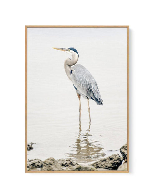 Heron No II | Framed Canvas-CANVAS-You can shop wall art online with Olive et Oriel for everything from abstract art to fun kids wall art. Our beautiful modern art prints and canvas art are available from large canvas prints to wall art paintings and our proudly Australian artwork collection offers only the highest quality framed large wall art and canvas art Australia - You can buy fashion photography prints or Hampton print posters and paintings on canvas from Olive et Oriel and have them deli