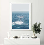 Hervey Bay Whale Art Print-PRINT-Olive et Oriel-Olive et Oriel-Buy-Australian-Art-Prints-Online-with-Olive-et-Oriel-Your-Artwork-Specialists-Austrailia-Decorate-With-Coastal-Photo-Wall-Art-Prints-From-Our-Beach-House-Artwork-Collection-Fine-Poster-and-Framed-Artwork