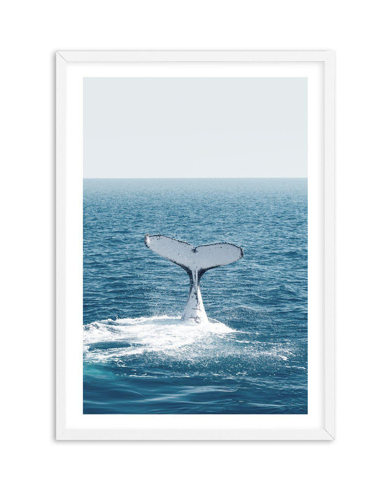 Hervey Bay Whale Art Print-PRINT-Olive et Oriel-Olive et Oriel-A5 | 5.8" x 8.3" | 14.8 x 21cm-White-With White Border-Buy-Australian-Art-Prints-Online-with-Olive-et-Oriel-Your-Artwork-Specialists-Austrailia-Decorate-With-Coastal-Photo-Wall-Art-Prints-From-Our-Beach-House-Artwork-Collection-Fine-Poster-and-Framed-Artwork
