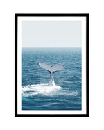 Hervey Bay Whale Art Print-PRINT-Olive et Oriel-Olive et Oriel-A5 | 5.8" x 8.3" | 14.8 x 21cm-Black-With White Border-Buy-Australian-Art-Prints-Online-with-Olive-et-Oriel-Your-Artwork-Specialists-Austrailia-Decorate-With-Coastal-Photo-Wall-Art-Prints-From-Our-Beach-House-Artwork-Collection-Fine-Poster-and-Framed-Artwork
