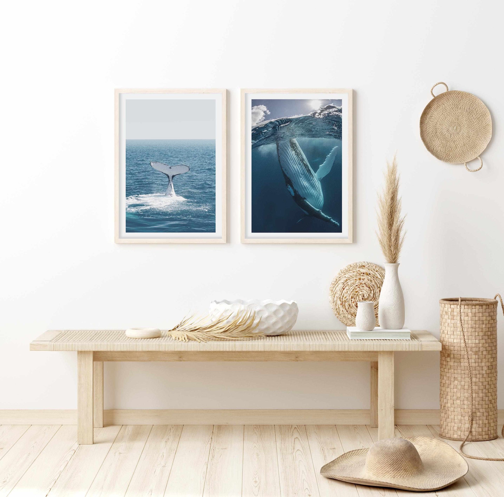 Hervey Bay Whale Art Print-PRINT-Olive et Oriel-Olive et Oriel-Buy-Australian-Art-Prints-Online-with-Olive-et-Oriel-Your-Artwork-Specialists-Austrailia-Decorate-With-Coastal-Photo-Wall-Art-Prints-From-Our-Beach-House-Artwork-Collection-Fine-Poster-and-Framed-Artwork