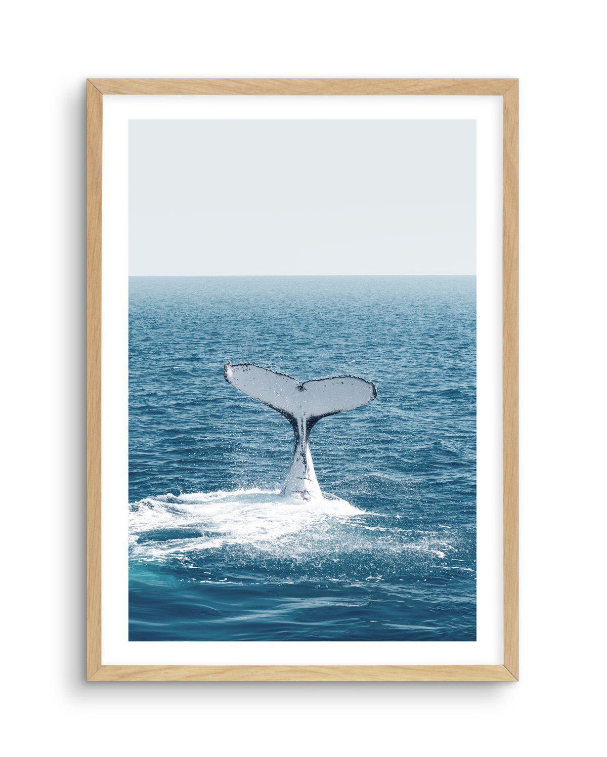 Hervey Bay Whale Art Print-PRINT-Olive et Oriel-Olive et Oriel-A5 | 5.8" x 8.3" | 14.8 x 21cm-Oak-With White Border-Buy-Australian-Art-Prints-Online-with-Olive-et-Oriel-Your-Artwork-Specialists-Austrailia-Decorate-With-Coastal-Photo-Wall-Art-Prints-From-Our-Beach-House-Artwork-Collection-Fine-Poster-and-Framed-Artwork