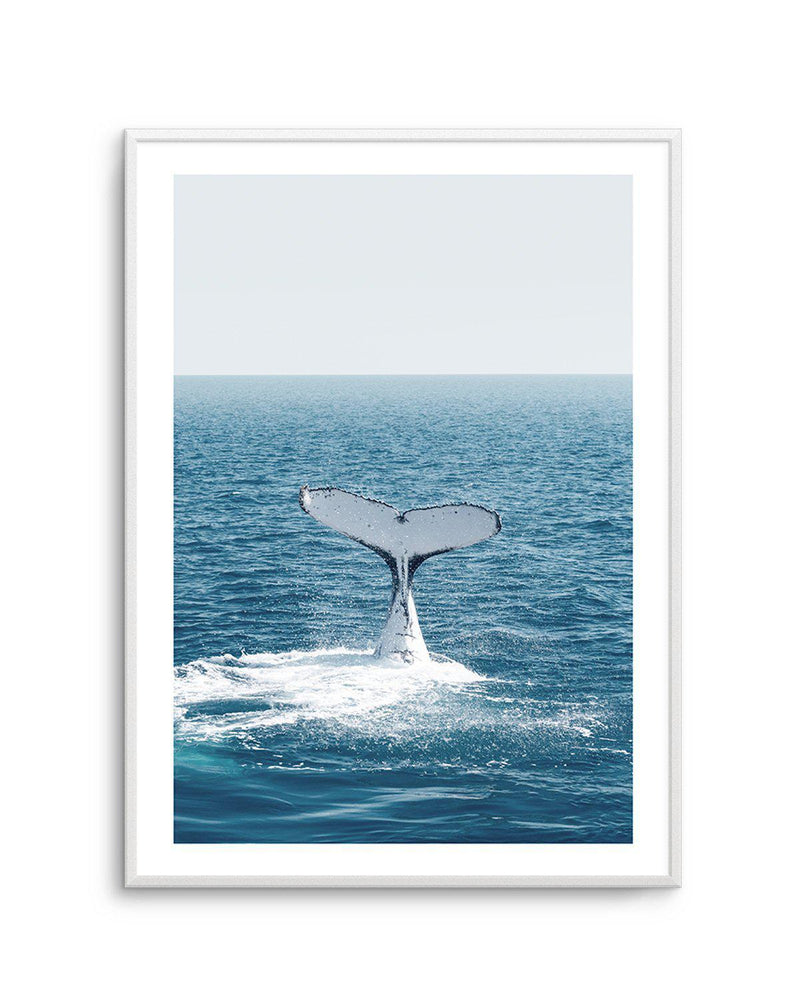 Hervey Bay Whale Art Print-PRINT-Olive et Oriel-Olive et Oriel-A5 | 5.8" x 8.3" | 14.8 x 21cm-Unframed Art Print-With White Border-Buy-Australian-Art-Prints-Online-with-Olive-et-Oriel-Your-Artwork-Specialists-Austrailia-Decorate-With-Coastal-Photo-Wall-Art-Prints-From-Our-Beach-House-Artwork-Collection-Fine-Poster-and-Framed-Artwork