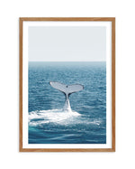 Hervey Bay Whale Art Print-PRINT-Olive et Oriel-Olive et Oriel-50x70 cm | 19.6" x 27.5"-Walnut-With White Border-Buy-Australian-Art-Prints-Online-with-Olive-et-Oriel-Your-Artwork-Specialists-Austrailia-Decorate-With-Coastal-Photo-Wall-Art-Prints-From-Our-Beach-House-Artwork-Collection-Fine-Poster-and-Framed-Artwork
