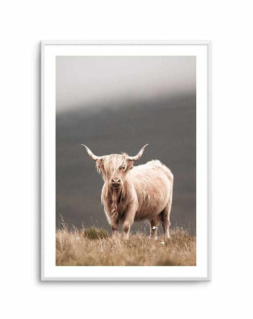 Highland Cow Art Print-PRINT-Olive et Oriel-Olive et Oriel-A5 | 5.8" x 8.3" | 14.8 x 21cm-Unframed Art Print-With White Border-Buy-Australian-Art-Prints-Online-with-Olive-et-Oriel-Your-Artwork-Specialists-Austrailia-Decorate-With-Coastal-Photo-Wall-Art-Prints-From-Our-Beach-House-Artwork-Collection-Fine-Poster-and-Framed-Artwork