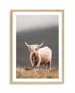 Highland Cow Art Print-PRINT-Olive et Oriel-Olive et Oriel-A5 | 5.8" x 8.3" | 14.8 x 21cm-Oak-With White Border-Buy-Australian-Art-Prints-Online-with-Olive-et-Oriel-Your-Artwork-Specialists-Austrailia-Decorate-With-Coastal-Photo-Wall-Art-Prints-From-Our-Beach-House-Artwork-Collection-Fine-Poster-and-Framed-Artwork