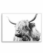 Highland Cow B&W Close-up Art Print-PRINT-Olive et Oriel-Olive et Oriel-A5 | 5.8" x 8.3" | 14.8 x 21cm-Unframed Art Print-With White Border-Buy-Australian-Art-Prints-Online-with-Olive-et-Oriel-Your-Artwork-Specialists-Austrailia-Decorate-With-Coastal-Photo-Wall-Art-Prints-From-Our-Beach-House-Artwork-Collection-Fine-Poster-and-Framed-Artwork