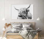 Highland Cow B&W Close-up Art Print-PRINT-Olive et Oriel-Olive et Oriel-Buy-Australian-Art-Prints-Online-with-Olive-et-Oriel-Your-Artwork-Specialists-Austrailia-Decorate-With-Coastal-Photo-Wall-Art-Prints-From-Our-Beach-House-Artwork-Collection-Fine-Poster-and-Framed-Artwork