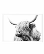 Highland Cow B&W Close-up Art Print-PRINT-Olive et Oriel-Olive et Oriel-A5 | 5.8" x 8.3" | 14.8 x 21cm-White-With White Border-Buy-Australian-Art-Prints-Online-with-Olive-et-Oriel-Your-Artwork-Specialists-Austrailia-Decorate-With-Coastal-Photo-Wall-Art-Prints-From-Our-Beach-House-Artwork-Collection-Fine-Poster-and-Framed-Artwork