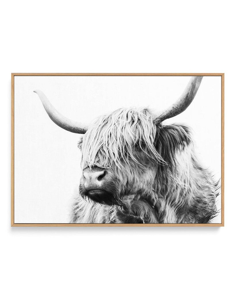 Highland Cow B&W Close-up | Framed Canvas-CANVAS-You can shop wall art online with Olive et Oriel for everything from abstract art to fun kids wall art. Our beautiful modern art prints and canvas art are available from large canvas prints to wall art paintings and our proudly Australian artwork collection offers only the highest quality framed large wall art and canvas art Australia - You can buy fashion photography prints or Hampton print posters and paintings on canvas from Olive et Oriel and 