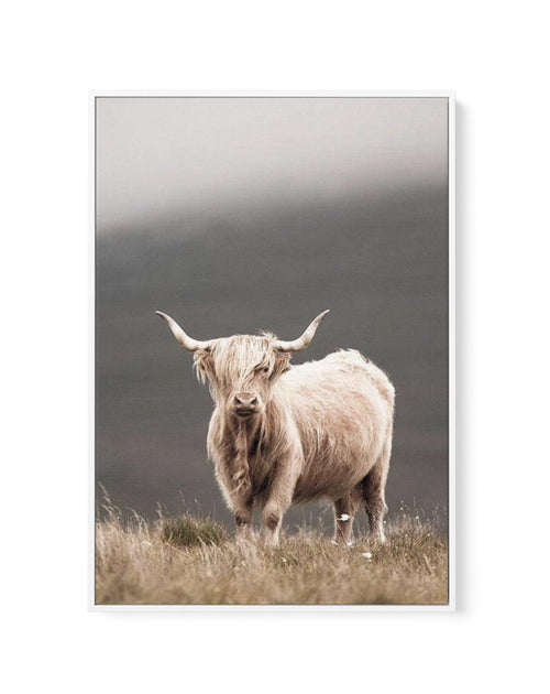 Highland Cow | Framed Canvas-CANVAS-You can shop wall art online with Olive et Oriel for everything from abstract art to fun kids wall art. Our beautiful modern art prints and canvas art are available from large canvas prints to wall art paintings and our proudly Australian artwork collection offers only the highest quality framed large wall art and canvas art Australia - You can buy fashion photography prints or Hampton print posters and paintings on canvas from Olive et Oriel and have them del