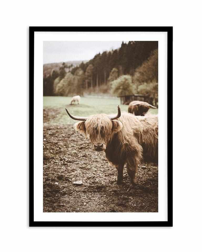 Highland Field Art Print-PRINT-Olive et Oriel-Olive et Oriel-A5 | 5.8" x 8.3" | 14.8 x 21cm-Black-With White Border-Buy-Australian-Art-Prints-Online-with-Olive-et-Oriel-Your-Artwork-Specialists-Austrailia-Decorate-With-Coastal-Photo-Wall-Art-Prints-From-Our-Beach-House-Artwork-Collection-Fine-Poster-and-Framed-Artwork