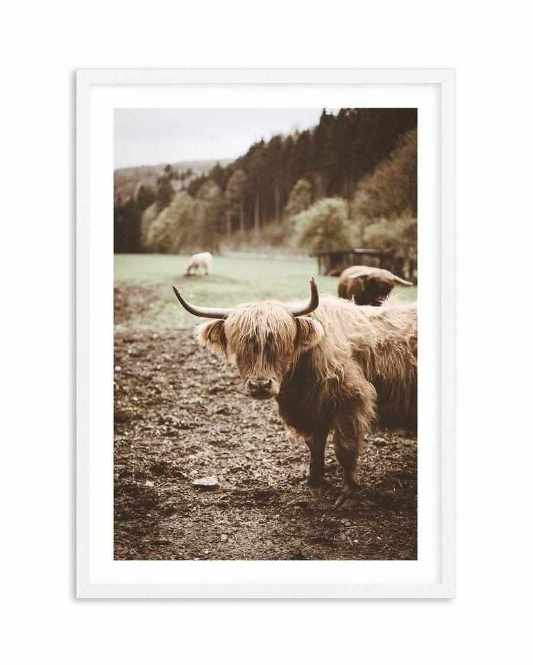 Highland Field Art Print-PRINT-Olive et Oriel-Olive et Oriel-A5 | 5.8" x 8.3" | 14.8 x 21cm-White-With White Border-Buy-Australian-Art-Prints-Online-with-Olive-et-Oriel-Your-Artwork-Specialists-Austrailia-Decorate-With-Coastal-Photo-Wall-Art-Prints-From-Our-Beach-House-Artwork-Collection-Fine-Poster-and-Framed-Artwork