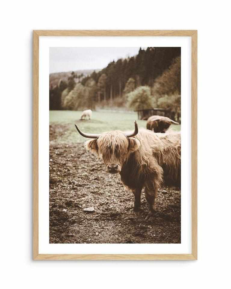 Highland Field Art Print-PRINT-Olive et Oriel-Olive et Oriel-A5 | 5.8" x 8.3" | 14.8 x 21cm-Oak-With White Border-Buy-Australian-Art-Prints-Online-with-Olive-et-Oriel-Your-Artwork-Specialists-Austrailia-Decorate-With-Coastal-Photo-Wall-Art-Prints-From-Our-Beach-House-Artwork-Collection-Fine-Poster-and-Framed-Artwork