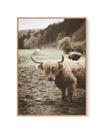 Highland Field | Framed Canvas-CANVAS-You can shop wall art online with Olive et Oriel for everything from abstract art to fun kids wall art. Our beautiful modern art prints and canvas art are available from large canvas prints to wall art paintings and our proudly Australian artwork collection offers only the highest quality framed large wall art and canvas art Australia - You can buy fashion photography prints or Hampton print posters and paintings on canvas from Olive et Oriel and have them d