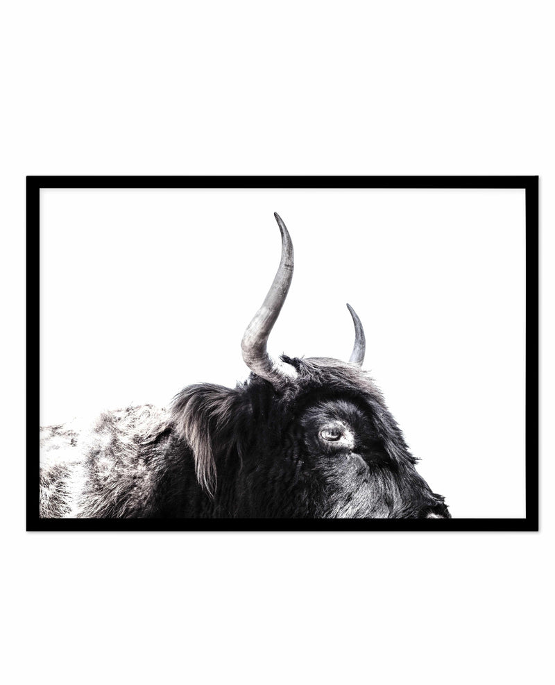 Highland Stare Art Print-PRINT-Olive et Oriel-Olive et Oriel-A5 | 5.8" x 8.3" | 14.8 x 21cm-Black-With White Border-Buy-Australian-Art-Prints-Online-with-Olive-et-Oriel-Your-Artwork-Specialists-Austrailia-Decorate-With-Coastal-Photo-Wall-Art-Prints-From-Our-Beach-House-Artwork-Collection-Fine-Poster-and-Framed-Artwork