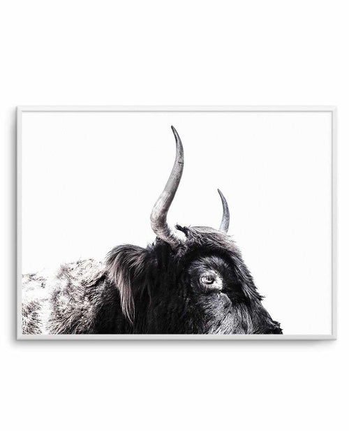 Highland Stare Art Print-PRINT-Olive et Oriel-Olive et Oriel-A5 | 5.8" x 8.3" | 14.8 x 21cm-Unframed Art Print-With White Border-Buy-Australian-Art-Prints-Online-with-Olive-et-Oriel-Your-Artwork-Specialists-Austrailia-Decorate-With-Coastal-Photo-Wall-Art-Prints-From-Our-Beach-House-Artwork-Collection-Fine-Poster-and-Framed-Artwork