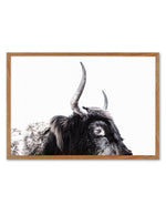 Highland Stare Art Print-PRINT-Olive et Oriel-Olive et Oriel-50x70 cm | 19.6" x 27.5"-Walnut-With White Border-Buy-Australian-Art-Prints-Online-with-Olive-et-Oriel-Your-Artwork-Specialists-Austrailia-Decorate-With-Coastal-Photo-Wall-Art-Prints-From-Our-Beach-House-Artwork-Collection-Fine-Poster-and-Framed-Artwork