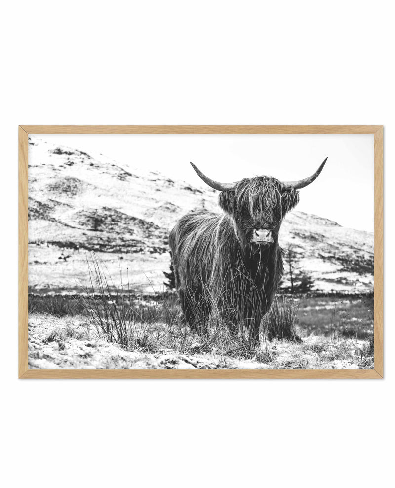 Highlander B&W Art Print-PRINT-Olive et Oriel-Olive et Oriel-A5 | 5.8" x 8.3" | 14.8 x 21cm-Oak-With White Border-Buy-Australian-Art-Prints-Online-with-Olive-et-Oriel-Your-Artwork-Specialists-Austrailia-Decorate-With-Coastal-Photo-Wall-Art-Prints-From-Our-Beach-House-Artwork-Collection-Fine-Poster-and-Framed-Artwork