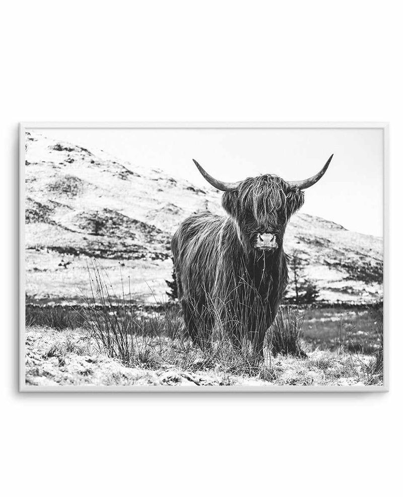 Highlander B&W Art Print-PRINT-Olive et Oriel-Olive et Oriel-A5 | 5.8" x 8.3" | 14.8 x 21cm-Unframed Art Print-With White Border-Buy-Australian-Art-Prints-Online-with-Olive-et-Oriel-Your-Artwork-Specialists-Austrailia-Decorate-With-Coastal-Photo-Wall-Art-Prints-From-Our-Beach-House-Artwork-Collection-Fine-Poster-and-Framed-Artwork