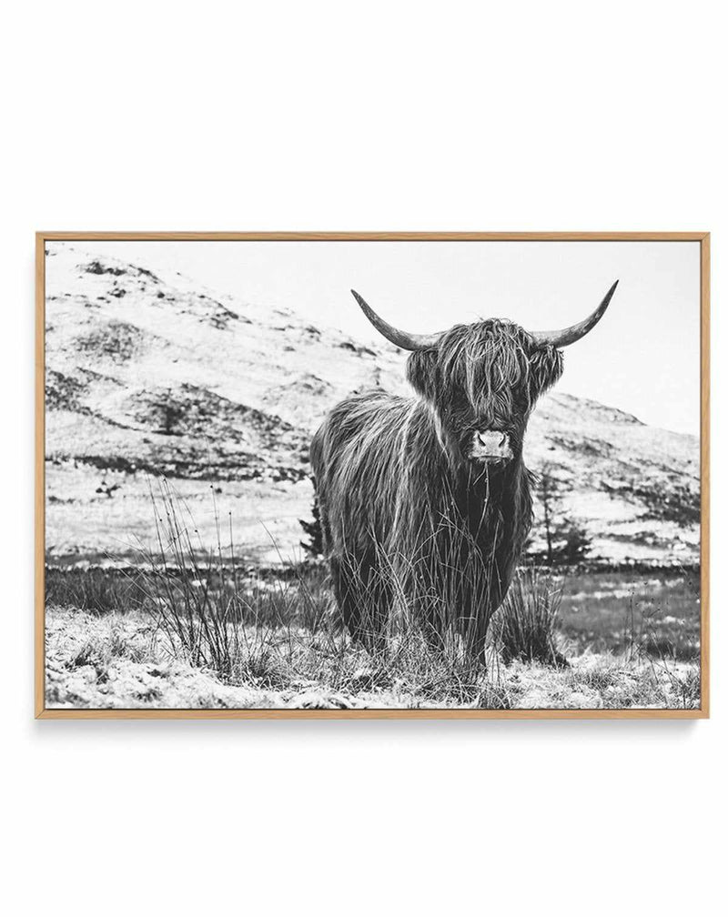Highlander B&W | Framed Canvas-CANVAS-You can shop wall art online with Olive et Oriel for everything from abstract art to fun kids wall art. Our beautiful modern art prints and canvas art are available from large canvas prints to wall art paintings and our proudly Australian artwork collection offers only the highest quality framed large wall art and canvas art Australia - You can buy fashion photography prints or Hampton print posters and paintings on canvas from Olive et Oriel and have them d