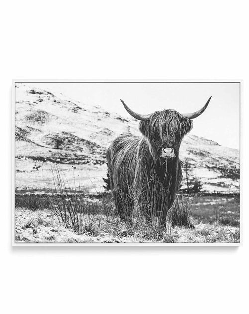 Highlander B&W | Framed Canvas-CANVAS-You can shop wall art online with Olive et Oriel for everything from abstract art to fun kids wall art. Our beautiful modern art prints and canvas art are available from large canvas prints to wall art paintings and our proudly Australian artwork collection offers only the highest quality framed large wall art and canvas art Australia - You can buy fashion photography prints or Hampton print posters and paintings on canvas from Olive et Oriel and have them d
