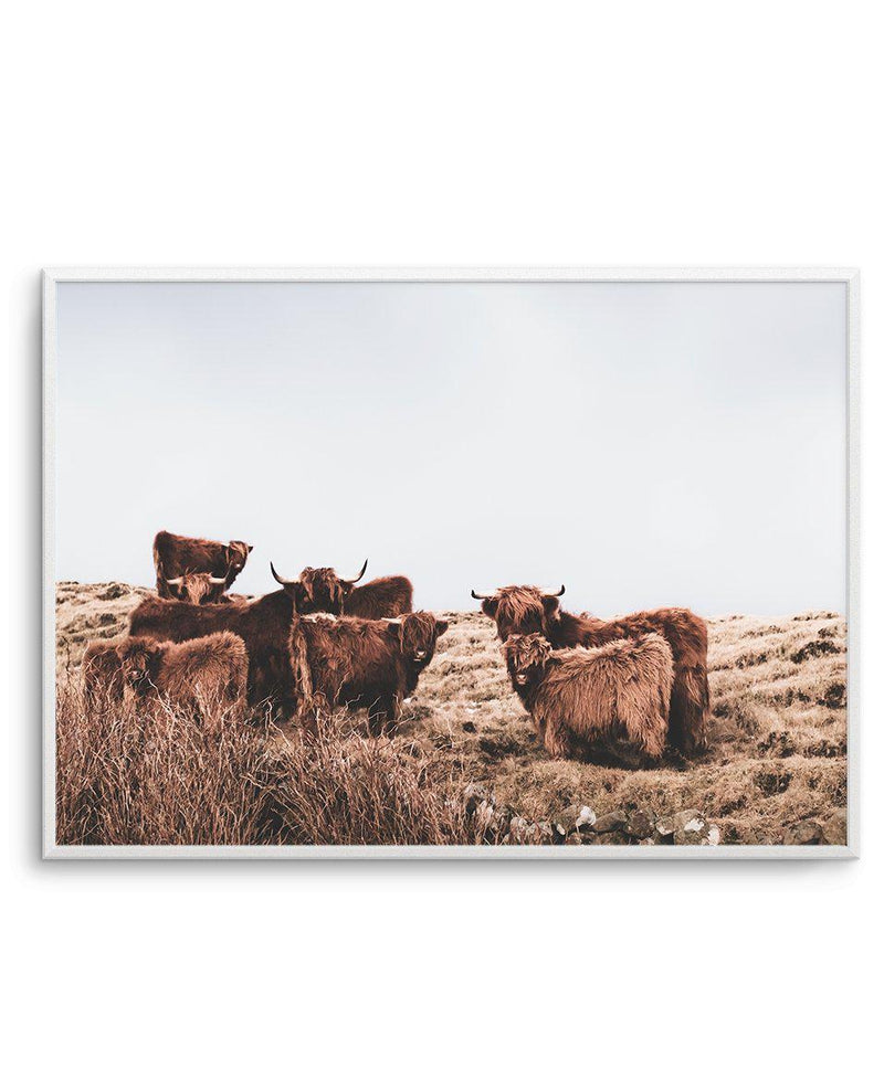 Highlander Herd | LS Art Print-PRINT-Olive et Oriel-Olive et Oriel-A5 | 5.8" x 8.3" | 14.8 x 21cm-Unframed Art Print-With White Border-Buy-Australian-Art-Prints-Online-with-Olive-et-Oriel-Your-Artwork-Specialists-Austrailia-Decorate-With-Coastal-Photo-Wall-Art-Prints-From-Our-Beach-House-Artwork-Collection-Fine-Poster-and-Framed-Artwork