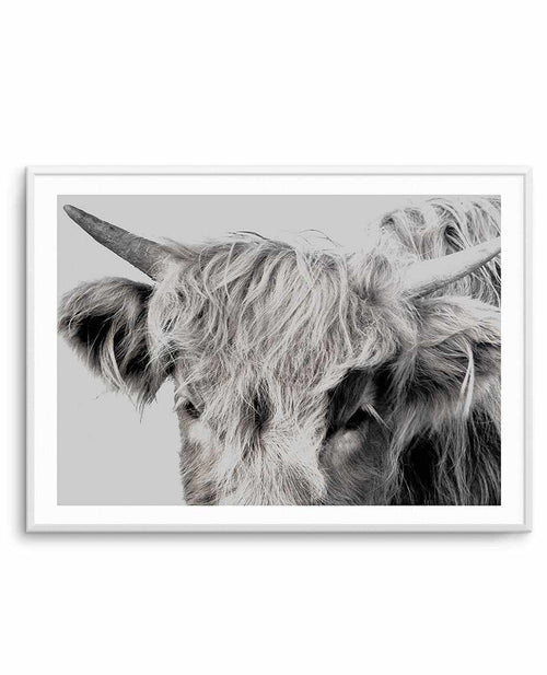 Highlander II | LS Art Print-PRINT-Olive et Oriel-Olive et Oriel-A4 | 8.3" x 11.7" | 21 x 29.7cm-Unframed Art Print-With White Border-Buy-Australian-Art-Prints-Online-with-Olive-et-Oriel-Your-Artwork-Specialists-Austrailia-Decorate-With-Coastal-Photo-Wall-Art-Prints-From-Our-Beach-House-Artwork-Collection-Fine-Poster-and-Framed-Artwork